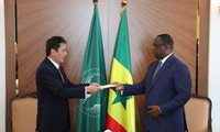 塞内加尔希望与越南加强各领域合作