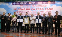 越南生产的高温烧制黏土建材品牌首次创下双世界纪录