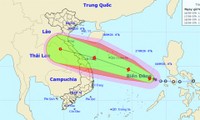 越南各地主动应对台风“红霞”