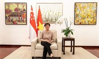 东盟2020：新加坡媒体强调越南的成功