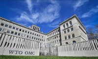 WTO改革适应新时代