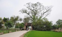 唐林古村举行被列入国家级遗迹名录15周年纪念活动
