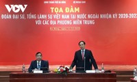 越南外交使团和地方促进融入国际