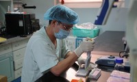 越南再有一款新冠疫苗进行猴子试验