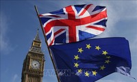 英国与欧盟都希望自贸协议如期生效