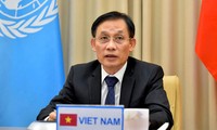 越南继续优先推动联合国与各地区组织之间的合作