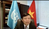 越南在联合国分享依靠数字技术推动发展的经验