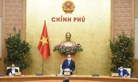 越南政府总理阮春福主持新年政府常务会议