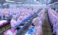 美国取消对越南明富虾产品征收反倾销税是客观公正的决定