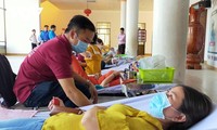越南各地在全民无偿献血日期间举行多项活动