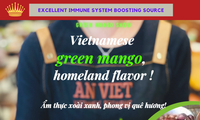 加大越南青芒果在澳大利亚市场的推广力度