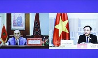越南国会主席王庭惠与摩洛哥众议院议长哈比博·马勒克举行视频会谈