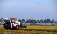 越南粮食食品系统第二次国际对话