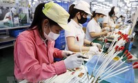  印度《经济时报》：越南正崛起成为地区的经济强国