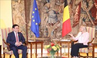 越南国会与比利时众议院会谈