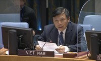 越南主持召开联安理会南苏丹问题委员会会议
