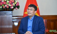 越南与世界经济论坛国家战略对话：为越南与外国企业带来新的合作机遇