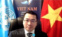 越南对波黑复杂局势表示关切