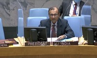 印度高度评价越南为联合国安理会做出的积极贡献