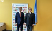 越南愿为联合国发展论坛作出实质性贡献