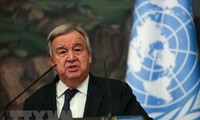 联合国希望西非地区稳定与繁荣