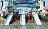 越南和中国配合在北部湾地区联合举行渔业资源增殖放流活动