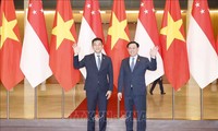 越南与新加坡议会加强多领域合作