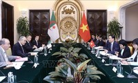 越南和阿尔及利亚外交部副部长级政治磋商