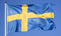 电贺瑞典国庆