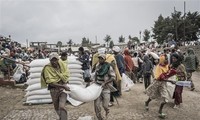 欧盟寻求解决非洲粮食危机的措施