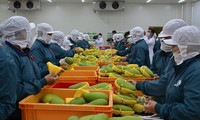 促进越南-欧盟农产品领域合作