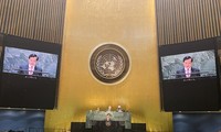 联合国高度评价越南应对气候变化的承诺