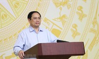 政府总理范明政：越南迅速、有效和实质性地推动数字化转型
