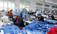 今年上半年纺织品服装出口额同比增长23%
