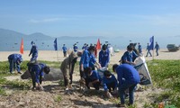 “携手净化海洋”活动在岘港举行