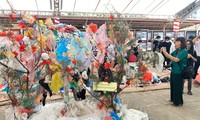 减少塑料污染图片展在富安省举行