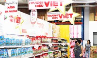 促进越南商品销售——为国内市场的发展做出贡献