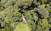 五公爷森林——天然林环境保护典型案例