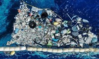 加强国际合作，减排海洋垃圾