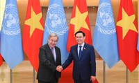   促进和加强越南国会与联合国的联系