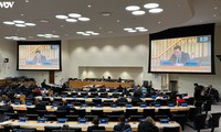 越南参加联合国维和活动讨论会