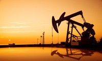 国际能源署警告不可预测的石油市场波动风险