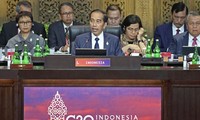 印度尼西亚总统佐科：二十国集团峰会实现了4大目标