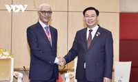 越南和摩洛哥加强双边和多边合作