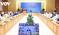 越南政府总理范明政出席疫苗外交工作总结在线会议