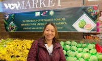 越南绿皮柚子在美国上市