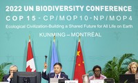 昆明-蒙特利尔协议保护全球生物多样性