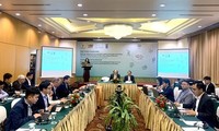 越南和UNDP合作，利用太阳能和风能生产绿氢