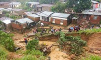 Malawi国：220多人因台风弗雷迪丧生