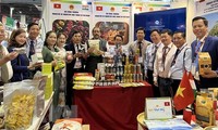 越南驻印度商务处协助企业了解印度外贸新政策